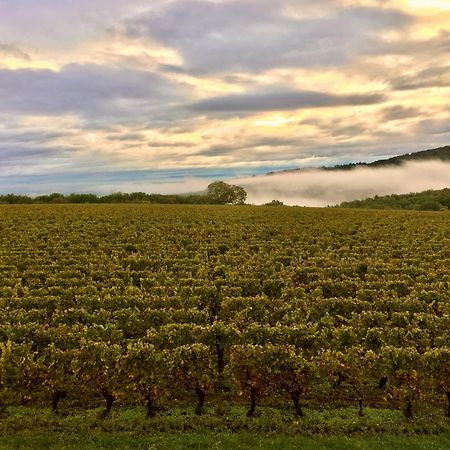 Domaine Joseph Lafarge Wine Resort Winemaker House La Maison Du Negociant Lugny Dış mekan fotoğraf